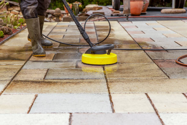 Best Animal Enclosure Cleaning  in Mililani Mauka, HI